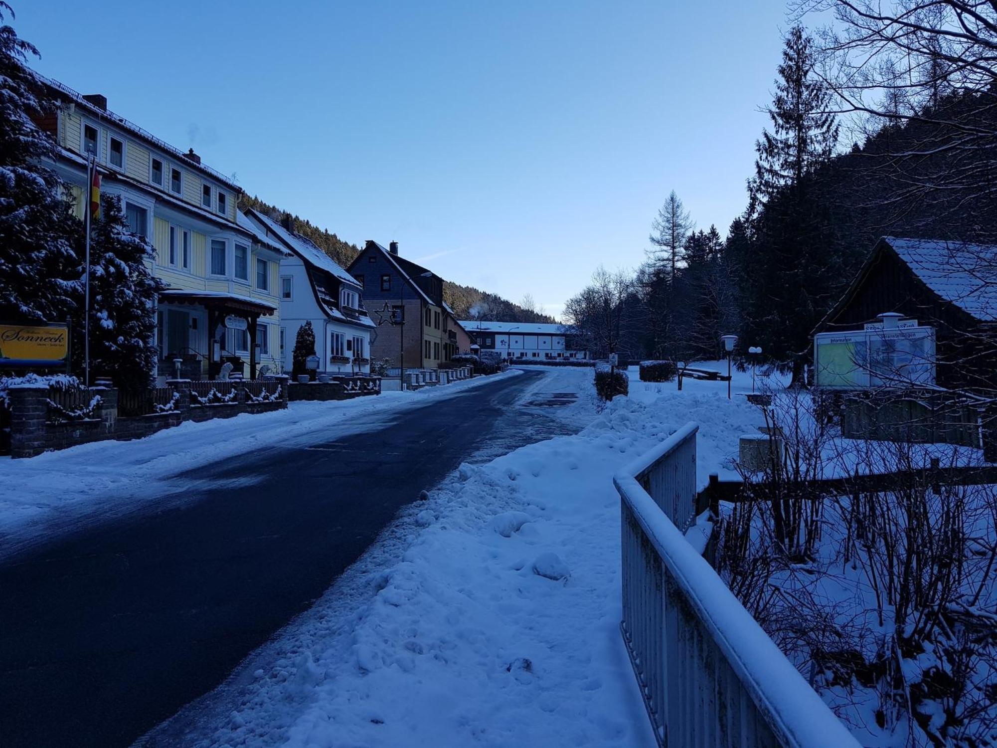 Adorable Aparment In Wildemann With Parking Lägenhet Exteriör bild